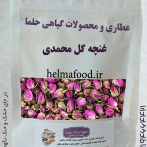 خرید غنچه گل محمدی